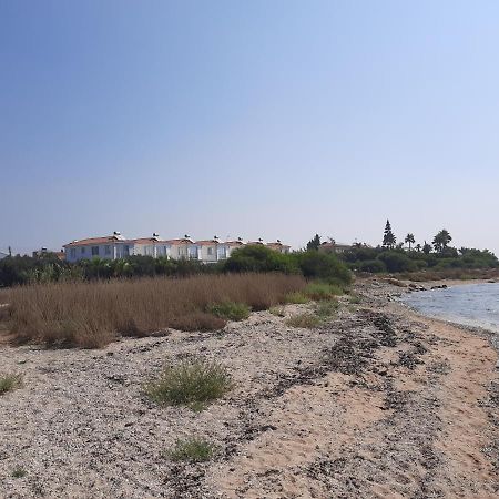Villa Anastassia Айя-Напа Экстерьер фото